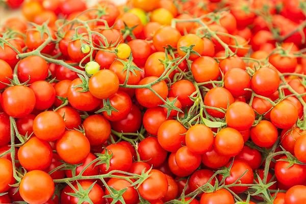 Italy-Apulia-Metropolitan City of Bari-Locorotondo Tomatoes for sale in an outdoor market